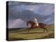 Corduroy', a Bay Racehorse, with a Jockey Up, Galloping on a Racecourse-John Frederick Herring I-Premier Image Canvas