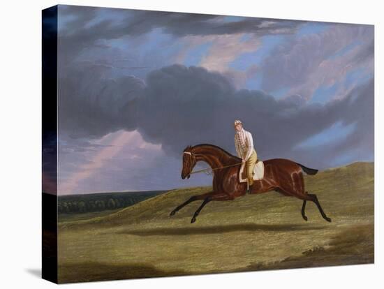 Corduroy', a Bay Racehorse, with a Jockey Up, Galloping on a Racecourse-John Frederick Herring I-Premier Image Canvas