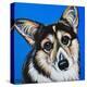 Corgi Cuteness II-Carolee Vitaletti-Stretched Canvas