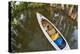 Corgi Dog in a Decked Expedition Canoe on a Lake in Colorado, a Distorted Wide Angle Fisheye Lens P-PixelsAway-Premier Image Canvas