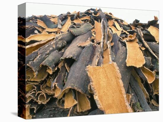 Cork Bark for Bottle Corks Stacked to Dry Near Tempio Pausania, Island of Sardinia, Italy-Michael Newton-Premier Image Canvas