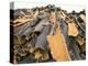 Cork Bark for Bottle Corks Stacked to Dry Near Tempio Pausania, Island of Sardinia, Italy-Michael Newton-Premier Image Canvas