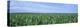 Corn Crop on a Landscape, Kearney County, Nebraska, USA-null-Premier Image Canvas