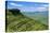 Corn Du, Brecon Beacons National Park, Powys, Wales, United Kingdom, Europe-Billy Stock-Premier Image Canvas