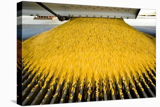 Corn Ethanol Processing Plant-David Nunuk-Premier Image Canvas