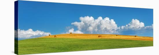 Corn field harvested, Tuscany, Italy-Frank Krahmer-Stretched Canvas