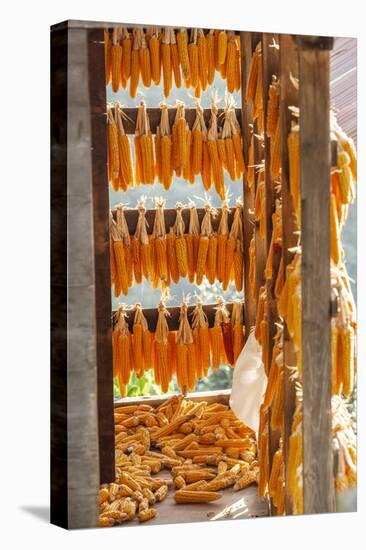 Corn Hung to Dry, Rize, Black Sea Region of Turkey-Ali Kabas-Premier Image Canvas