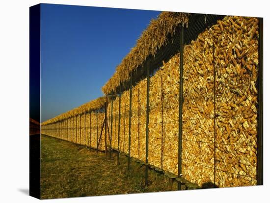 Corn in a Storage, Loire Valley, France-Michael Busselle-Premier Image Canvas