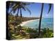 Corn Islands, Little Corn Island, Coral and Iguana Beach, Nicaragua-Jane Sweeney-Premier Image Canvas