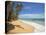 Corn Islands, Little Corn Island, Garret Point, Nicaragua-Jane Sweeney-Premier Image Canvas