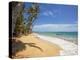 Corn Islands, Little Corn Island, Garret Point, Nicaragua-Jane Sweeney-Premier Image Canvas