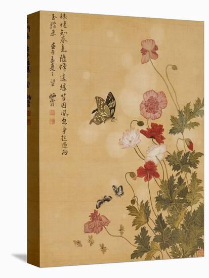 Corn Poppy and Butterflies, 1702-Ma Yuanyu-Premier Image Canvas