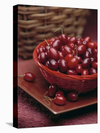 Cornel Cherries-Vladimir Shulevsky-Premier Image Canvas