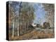 Corner of the Wood Close to Fontainbleau, 1883-Alfred Sisley-Premier Image Canvas