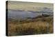 Cornfield at Sunset, 1860-John William Inchbold-Premier Image Canvas