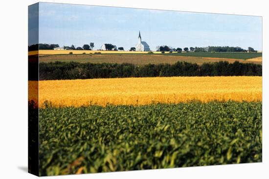 Cornfield with Church in Background-null-Premier Image Canvas