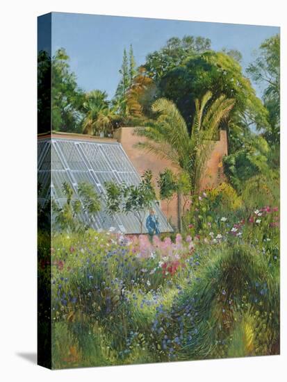 Cornflower Waves at Heligan-Timothy Easton-Premier Image Canvas