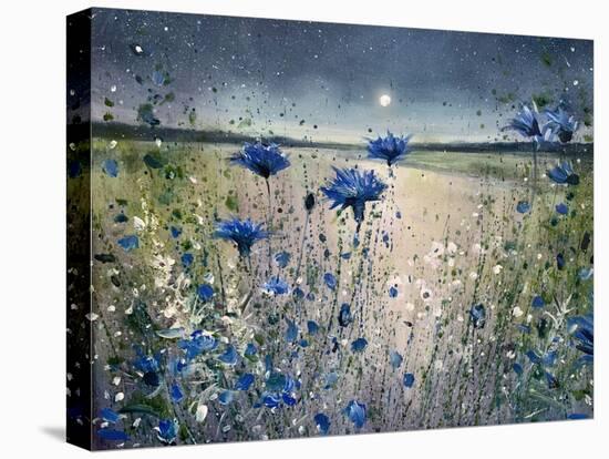 Cornflowers and The Moon No 1-Jennifer Taylor-Stretched Canvas