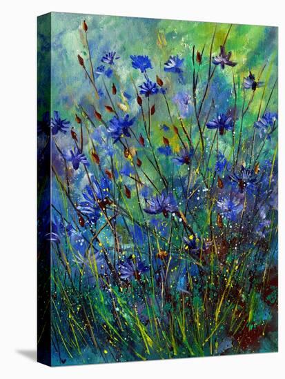 Cornflowers-Pol Ledent-Stretched Canvas