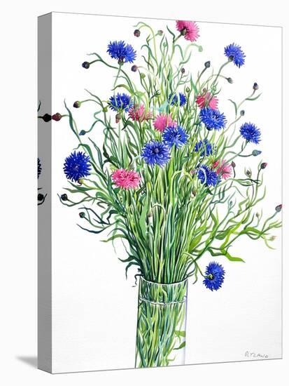 Cornflowers-Christopher Ryland-Premier Image Canvas