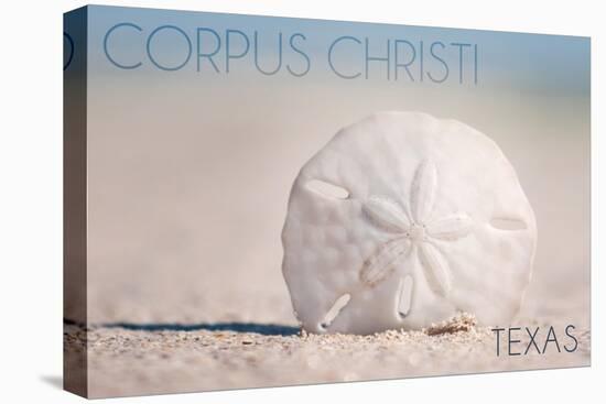 Corpus Christi, Texas - Sand Dollar and Beach-Lantern Press-Stretched Canvas