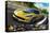 Corvette Stingray with Details-null-Stretched Canvas