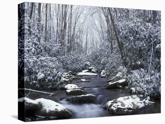 Cosby Creek in Winter, Great Smoky Mountains National Park, Tennessee, USA-Adam Jones-Premier Image Canvas