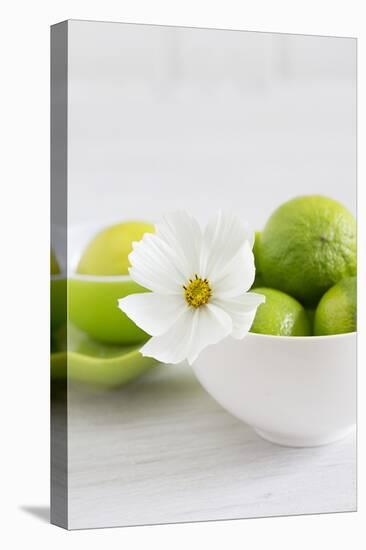 Cosmea, Blossom, White, Bowl, Limes, Green, Still Life-Andrea Haase-Premier Image Canvas
