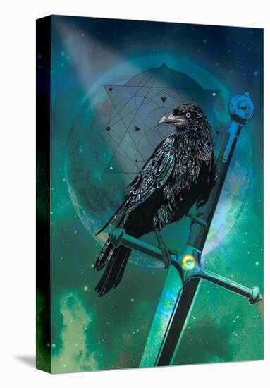 Cosmic Raven-Karin Roberts-Stretched Canvas