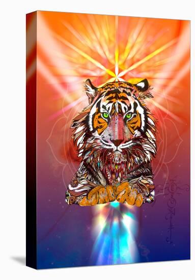 Cosmic Tiger-Karin Roberts-Stretched Canvas