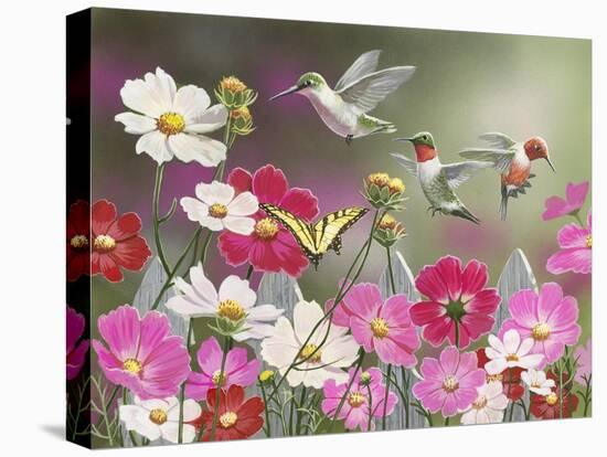 Cosmos and Hummingbirds-William Vanderdasson-Premier Image Canvas