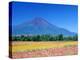 Cosmos Fields & Mt. Fuji, Oshino, Yamanashi, Japan-null-Premier Image Canvas