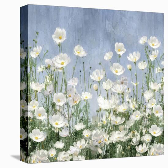 Cosmos Meadow-Tania Bello-Stretched Canvas