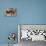 Cossus Cossus (Goat Moth, Carpenter Moth) - Caterpillar-Paul Starosta-Premier Image Canvas displayed on a wall