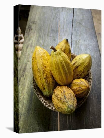 Costa Rica, La Virgen De Sarapiqui, Picked Cocoa Pods Used for Demonstration on How to Make Chocola-John Coletti-Premier Image Canvas