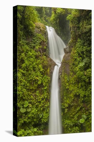 Costa Rica, Monteverde Cloud Forest Biological Reserve. La Paz Waterfall Scenic-Jaynes Gallery-Premier Image Canvas