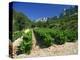 Cotes De Rhone Vineyards, Dentelles De Montmirail, Vaucluse, Provence, France, Europe-David Hughes-Premier Image Canvas
