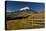 Cotopaxi National Park, Snow-Capped Cotopaxi Volcano-John Coletti-Premier Image Canvas