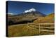 Cotopaxi National Park, Snow-Capped Cotopaxi Volcano-John Coletti-Premier Image Canvas