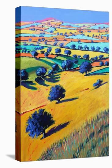 Cotswold Valley, 2021 (acrylic on board)-Paul Powis-Premier Image Canvas