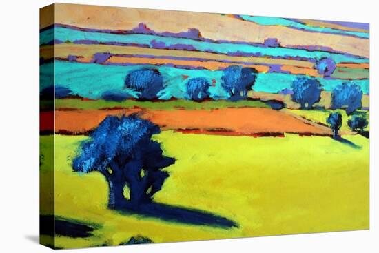 Cotswold Way close up 9-Paul Powis-Premier Image Canvas