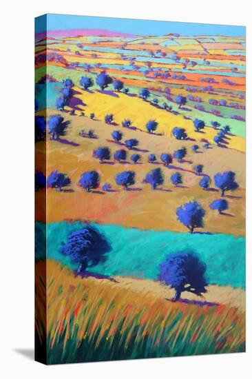 Cotswolds Towards Bredon, 2021 (acrylic on board)-Paul Powis-Premier Image Canvas