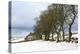 Cottage and trees, Torr Head, County Antrim, Ulster, Northern Ireland, United Kingdom, Europe-Carsten Krieger-Premier Image Canvas