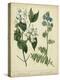 Cottage Florals I-Sydenham Teast Edwards-Stretched Canvas