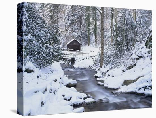 Cottage in a Forest in Winter-Marcus Lange-Premier Image Canvas