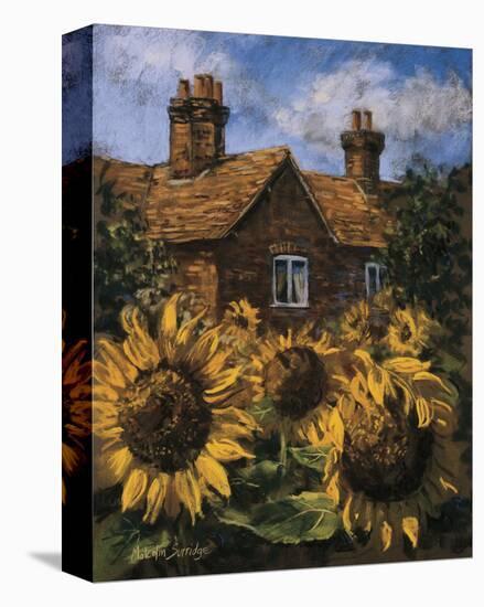 Cottage of Delights I-Malcolm Surridge-Stretched Canvas