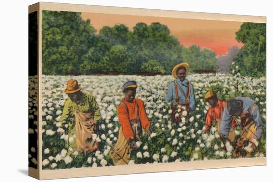 Cotton Picking, Augusta, Georgia, 1943-null-Premier Image Canvas