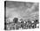 Cotton Picking Machine Doing the Work of 25 Field Hands on Large Farm in the South-Margaret Bourke-White-Premier Image Canvas