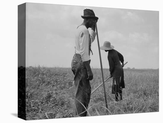Cotton sharecroppers Georgia, 1937-Dorothea Lange-Premier Image Canvas