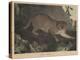Cougar or Panther-Mannevillette Elihu Dearing Brown-Premier Image Canvas